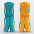Blue & Orange Plume Reversible Basketball Set